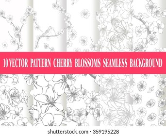 Set vector seamless cherry blossom background