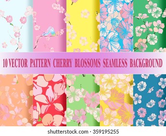 Set vector seamless cherry blossom background