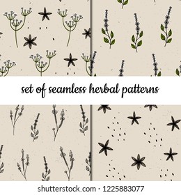 Set of vector seamless patterns. Herbs and plants.