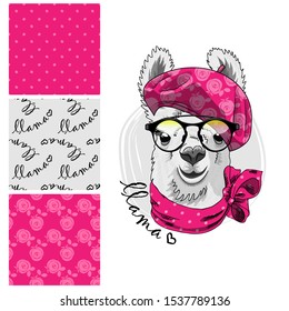 Set of vector seamless patterns and  illustration of smartly dressed llama. Print on T-shirts, bags and other fashion products. Design children's clothing and accessories. 