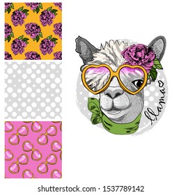 Set of vector seamless patterns and  illustration of smartly dressed llama. Print on T-shirts, bags and other fashion products. Design children's clothing and accessories. 