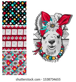 Set of vector seamless patterns and  illustration of smartly dressed llama. Print on T-shirts, bags and other fashion products. Design children's clothing and accessories. 