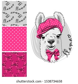 Set of vector seamless patterns and  illustration of smartly dressed llama. Print on T-shirts, bags and other fashion products. Design children's clothing and accessories. 