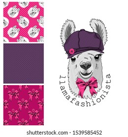 Set of vector seamless patterns and  illustration of smartly dressed llama. Print on T-shirts, bags and other fashion products. Design children's clothing and accessories. 