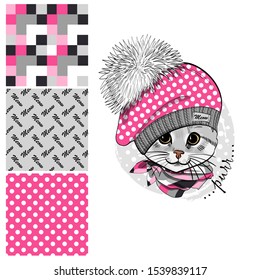 Set of vector seamless patterns and  illustration of smartly dressed cat. Print on T-shirts, bags and other fashion products. Design children's clothing and accessories. 