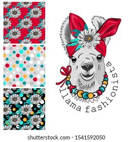 Set of vector seamless patterns and  illustration of smartly dressed llama. Print on T-shirts, bags and other fashion products. Design children's clothing and accessories. 