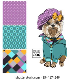 Set of vector seamless patterns and  illustration of smartly dressed dog. Print on T-shirts, bags and other fashion products. Design children's clothing and accessories. 