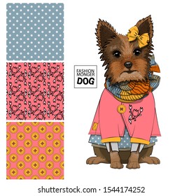 Set of vector seamless patterns and  illustration of smartly dressed dog. Print on T-shirts, bags and other fashion products. Design children's clothing and accessories. 