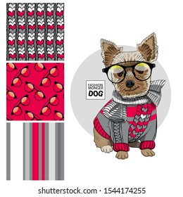 Set of vector seamless patterns and  illustration of smartly dressed dog. Print on T-shirts, bags and other fashion products. Design children's clothing and accessories. 