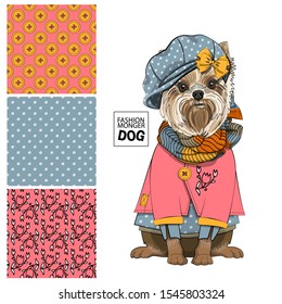 Set of vector seamless patterns and  illustration of smartly dressed dog. Print on T-shirts, bags and other fashion products. Design children's clothing and accessories. 