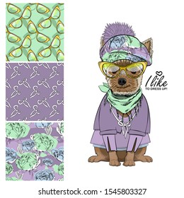 Set of vector seamless patterns and  illustration of smartly dressed dog. Print on T-shirts, bags and other fashion products. Design children's clothing and accessories. 