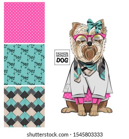 Set of vector seamless patterns and  illustration of smartly dressed dog. Print on T-shirts, bags and other fashion products. Design children's clothing and accessories. 