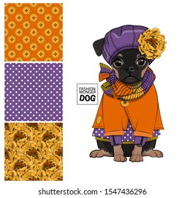 Set of vector seamless patterns and  illustration of smartly dressed dog. Print on T-shirts, bags and other fashion products. Design children's clothing and accessories. 