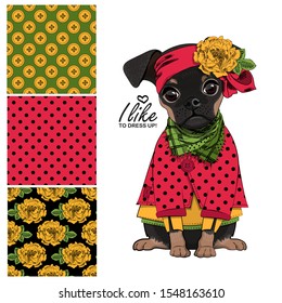 Set of vector seamless patterns and  illustration of smartly dressed dog. Print on T-shirts, bags and other fashion products. Design children's clothing and accessories. 