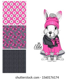 Set of vector seamless patterns and  illustration of smartly dressed bunny. Print on T-shirts, bags and other fashion products. Design children's clothing and accessories. 