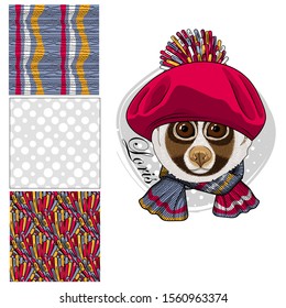 Set of vector seamless patterns and  illustration of smartly dressed lemur. Print on T-shirts, bags and other fashion products. Design children's clothing and accessories. 