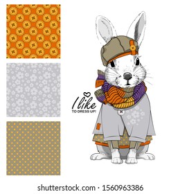 Set of vector seamless patterns and  illustration of smartly dressed bunny. Print on T-shirts, bags and other fashion products. Design children's clothing and accessories. 