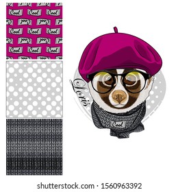 Set of vector seamless patterns and  illustration of smartly dressed lemur. Print on T-shirts, bags and other fashion products. Design children's clothing and accessories. 