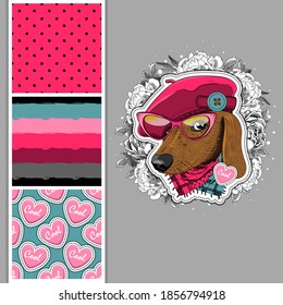 Set of vector seamless patterns and  illustration of smartly dressed dog. Cool dressed dachshund. Print on T-shirts, bags and other fashion products. Design children's clothing and accessories. 