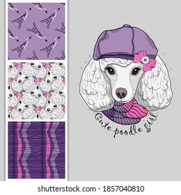 Set of vector seamless patterns and  illustration of dressed dog. Cute white poodle girl with hat. Print on T-shirts, bags and other fashion products. Design children's clothing and accessories. 