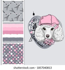 Set of vector seamless patterns and  illustration of dressed dog. Cute white poodle girl with hat. Print on T-shirts, bags and other fashion products. Design children's clothing and accessories. 