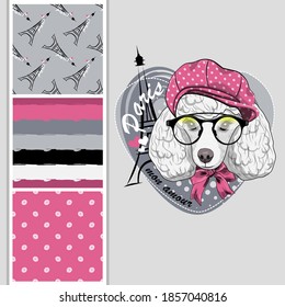 Set of vector seamless patterns and  illustration of dressed dog. White poodle with hat and glasses. Print on T-shirts, bags and other fashion products. Design children's clothing and accessories. 