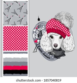 Conjunto de patrones vectoriales sin fisuras e ilustración de perro vestido. Chica de cangrejo blanco con sombrero. Imprimir en camisetas, bolsas y otros productos de moda. Diseñar ropa y accesorios para niños. 