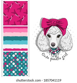 Set of vector seamless patterns and  illustration of dressed dog. Cute white poodle girl with hat. Print on T-shirts, bags and other fashion products. Design children's clothing and accessories. 