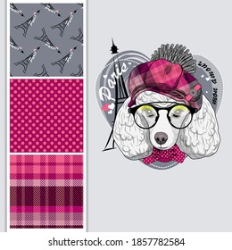 Set of vector seamless patterns and  illustration of dressed dog. White poodle with hat and glasses. Print on T-shirts, bags and other fashion products. Design children's clothing and accessories. 