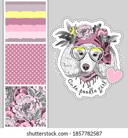Set of vector seamless patterns and  illustration of dressed dog. White poodle with wreath and glasses. Print on T-shirts, bags and other fashion products. Design children's clothing and accessories. 