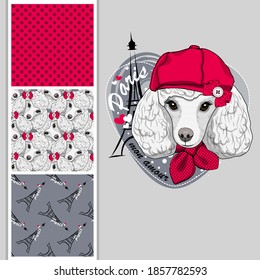 Set of vector seamless patterns and  illustration of dressed dog. Cute white poodle girl with hat. Print on T-shirts, bags and other fashion products. Design children's clothing and accessories. 