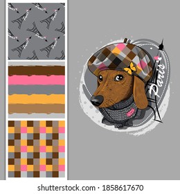 Set of vector seamless patterns and  illustration of dressed dog with hat, scarf and Eiffel Tower. Dachshund in Paris.Print on T-shirts, bags and other fashion products. 