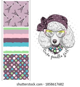 Set of vector seamless patterns and  illustration of dressed dog. White poodle with hat and glasses. Print on T-shirts, bags and other fashion products. Design children's clothing and accessories. 