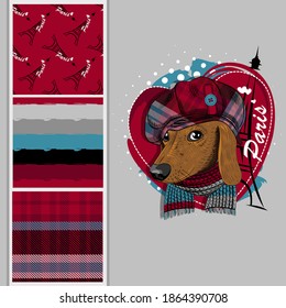 Set of vector seamless patterns and  illustration of dressed dog with hat, scarf and Eiffel Tower. Dachshund in Paris.Print on T-shirts, bags and other fashion products. 