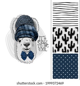 Set of vector seamless patterns and  illustration of smartly dressed llama with hat. Print on T-shirts, bags and other fashion products. Design children's clothing and accessories. 
