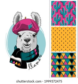 Set of vector seamless patterns and  illustration of smartly dressed llama with hat. Print on T-shirts, bags and other fashion products. Design children's clothing and accessories. 