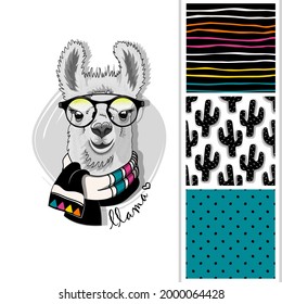 Set of vector seamless patterns and  illustration of smartly dressed llama. Print on T-shirts, bags and other fashion products. Design children's clothing and accessories. 