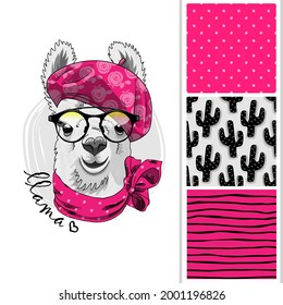 Set of vector seamless patterns and  illustration of smartly dressed llama with hat and glasses. Print on T-shirts, bags and other fashion products. Design children's clothing and accessories. 