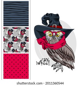 Set of vector seamless patterns and  illustration of owl with magic hat and red scarf. Hand drawn illustration of owl with red glasses.
  