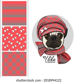 Set of vector seamless patterns and  illustration of smartly dressed pug. Print on T-shirts, bags and other fashion products. Design children's clothing and accessories. Funny dog with hat.