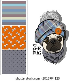 Set of vector seamless patterns and  illustration of smartly dressed pug. Print on T-shirts, bags and other fashion products. Design children's clothing and accessories. Funny dog with hat.