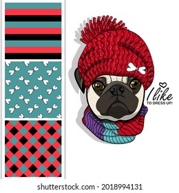 Set of vector seamless patterns and  illustration of smartly dressed pug. Print on T-shirts, bags and other fashion products. Design children's clothing and accessories. Funny dog with hat.