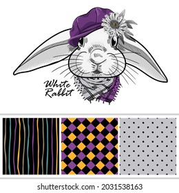 Set of vector seamless patterns and  illustration of smartly dressed bunny. Print on T-shirts, bags and other fashion products. Design children's clothing and accessories. 