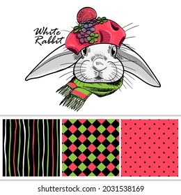 Set of vector seamless patterns and  illustration of smartly dressed bunny. Print on T-shirts, bags and other fashion products. Design children's clothing and accessories. 