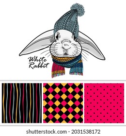 Set of vector seamless patterns and  illustration of smartly dressed bunny. Print on T-shirts, bags and other fashion products. Design children's clothing and accessories. 