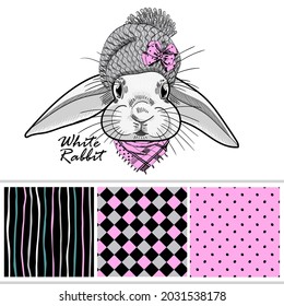 Set of vector seamless patterns and  illustration of smartly dressed bunny. Print on T-shirts, bags and other fashion products. Design children's clothing and accessories. 