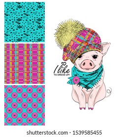 Set of vector seamless patterns with pretty dressed pig. Print on T-shirts, bags and and other fashion products. Design children's clothing and accessories.