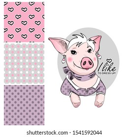 Set of vector seamless patterns with pretty dressed pig. Print on T-shirts, bags and and other fashion products. Design children's clothing and accessories.