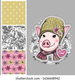 Set of vector seamless patterns with pretty dressed pig. Piggy with hat and scarf. Print on T-shirts, bags and and other fashion products. Design children's clothing and accessories.