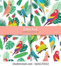 set of vector seamless patterns with tropical birds and leaves. Exotic parrots: macaw, cockatoo and monstera, banana, palm trees. vector hand drawn summer illustration. use for fabric, packaging 